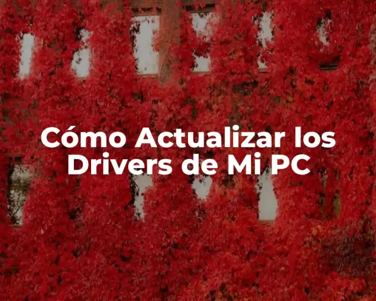 Cómo Actualizar los Drivers de Mi PC