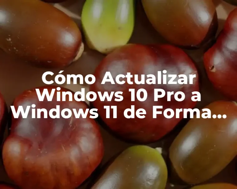 Cómo Actualizar Windows 10 Pro a Windows 11 de Forma Segura y Rápida