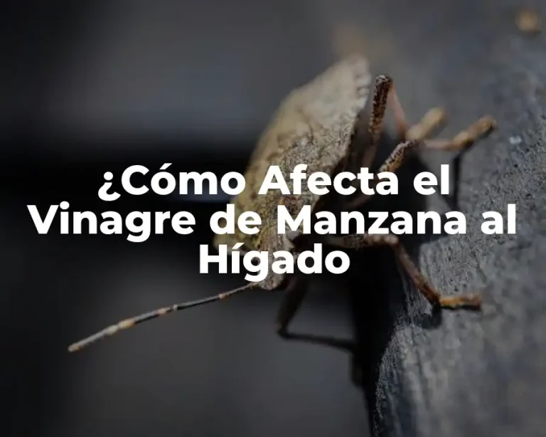 ¿Cómo Afecta el Vinagre de Manzana al Hígado