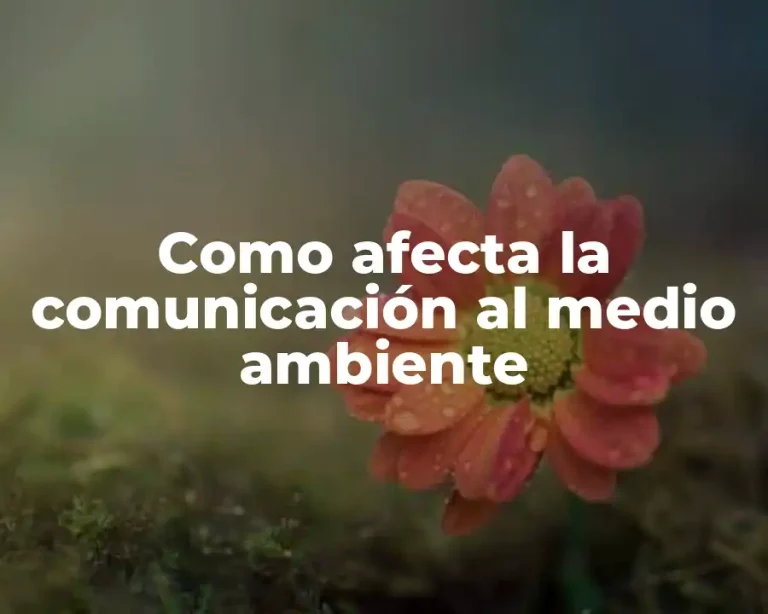 Como afecta la comunicación al medio ambiente
