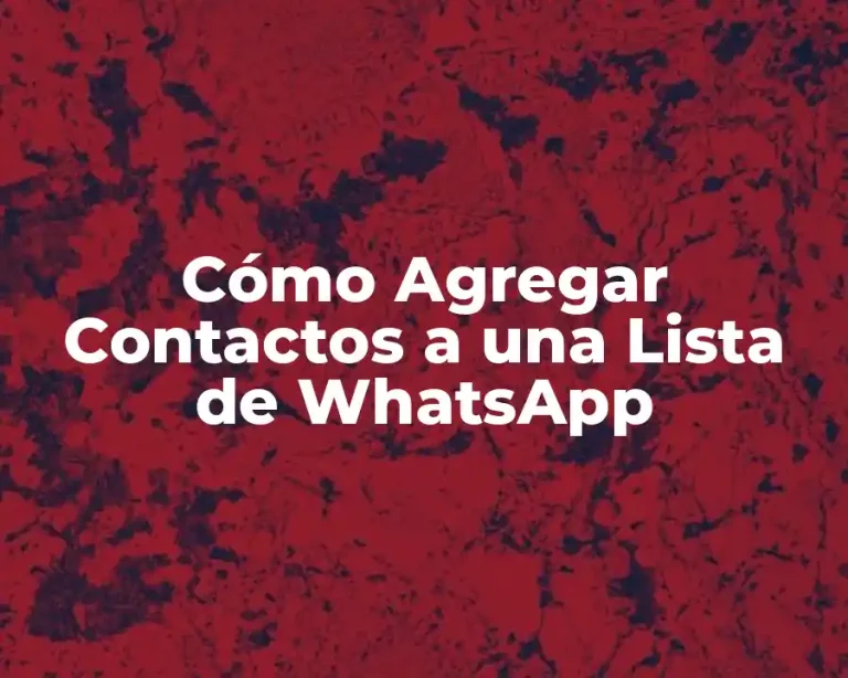 Cómo Agregar Contactos a una Lista de WhatsApp