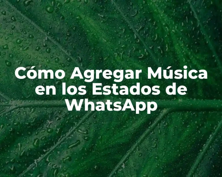 Cómo Agregar Música en los Estados de WhatsApp