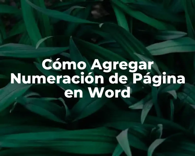 Cómo Agregar Numeración de Página en Word