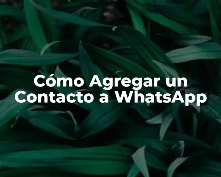 Cómo Agregar un Contacto a WhatsApp