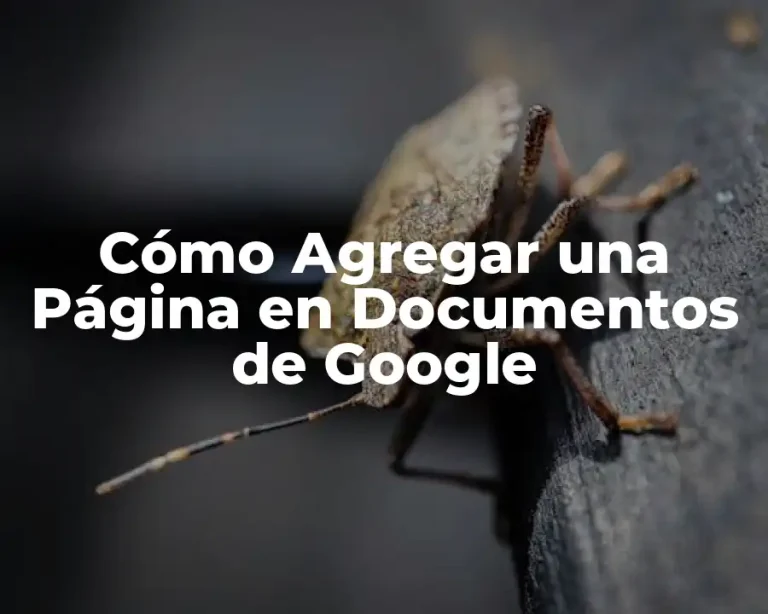 Cómo Agregar una Página en Documentos de Google