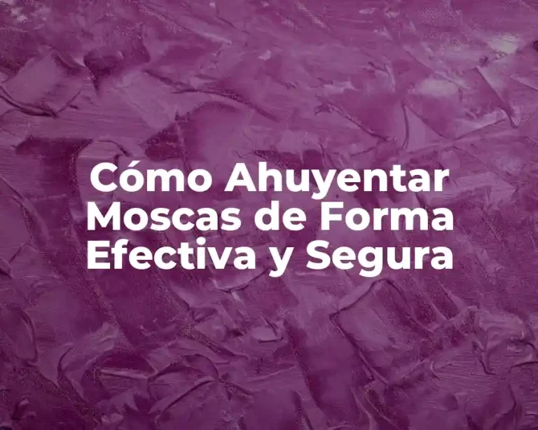 Cómo Ahuyentar Moscas de Forma Efectiva y Segura