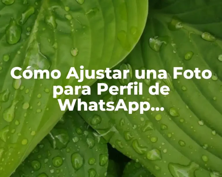 Cómo Ajustar una Foto para Perfil de WhatsApp (Optimización de Imágenes)