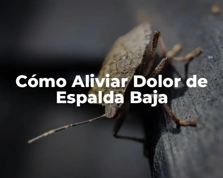 Cómo Aliviar Dolor de Espalda Baja