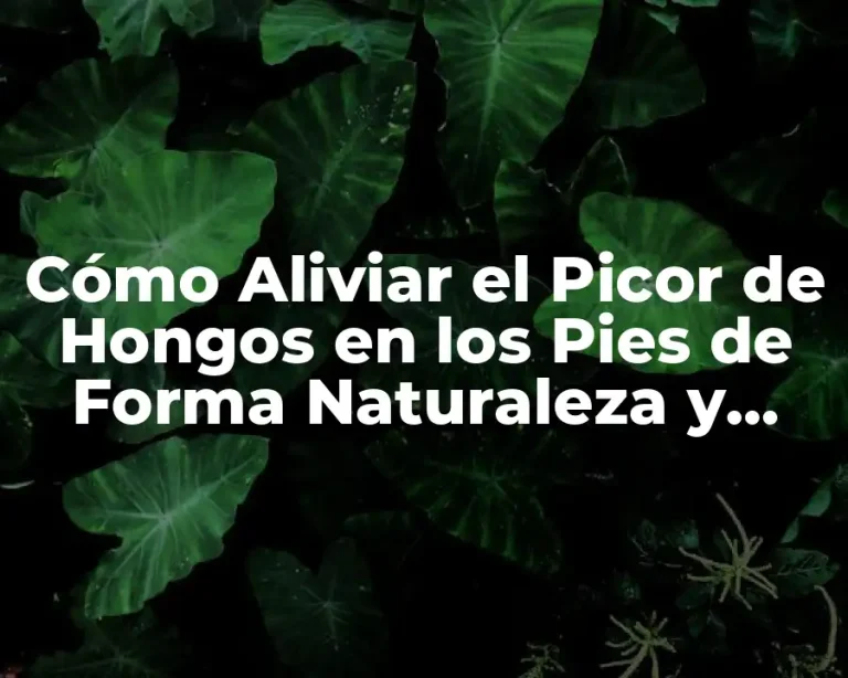 Cómo Aliviar el Picor de Hongos en los Pies de Forma Naturaleza y Efectiva