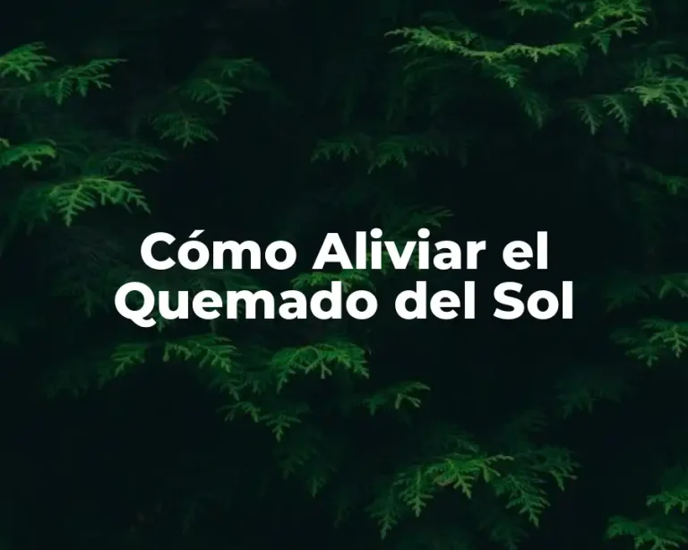 Cómo Aliviar el Quemado del Sol