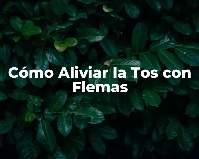 Cómo Aliviar la Tos con Flemas