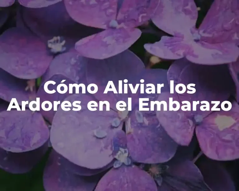 Cómo Aliviar los Ardores en el Embarazo