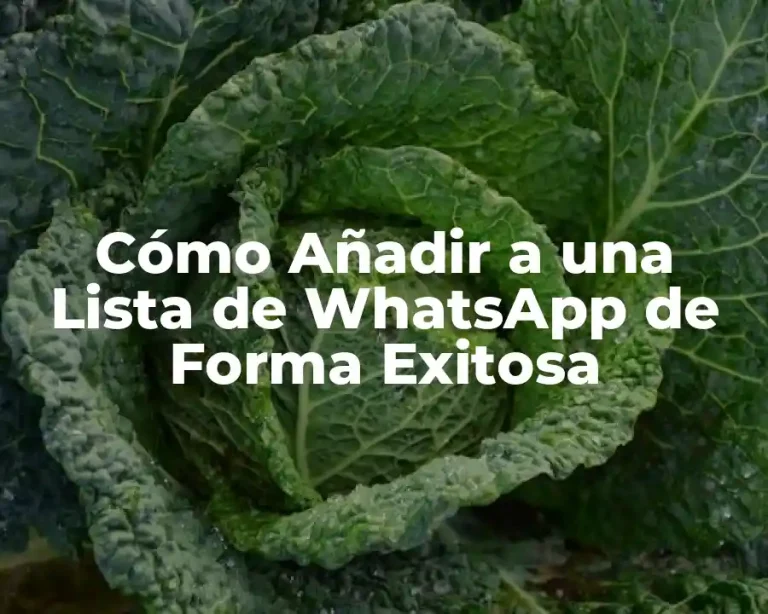 Cómo Añadir a una Lista de WhatsApp de Forma Exitosa