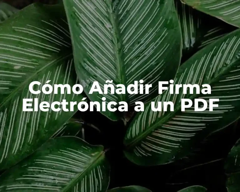 Cómo Añadir Firma Electrónica a un PDF