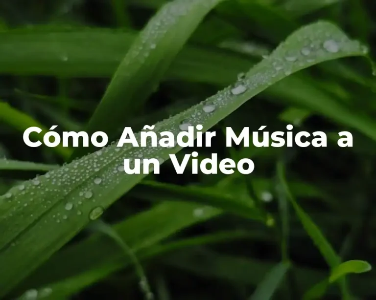 Cómo Añadir Música a un Video