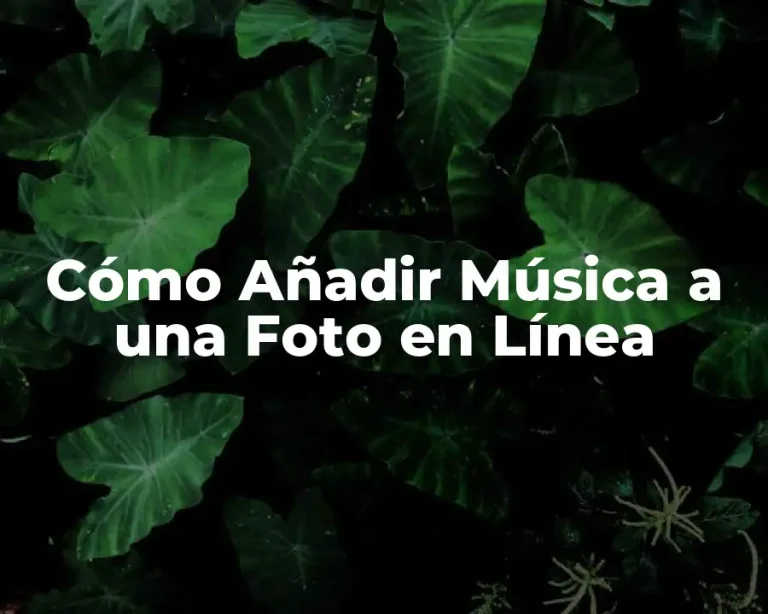 Cómo Añadir Música a una Foto en Línea