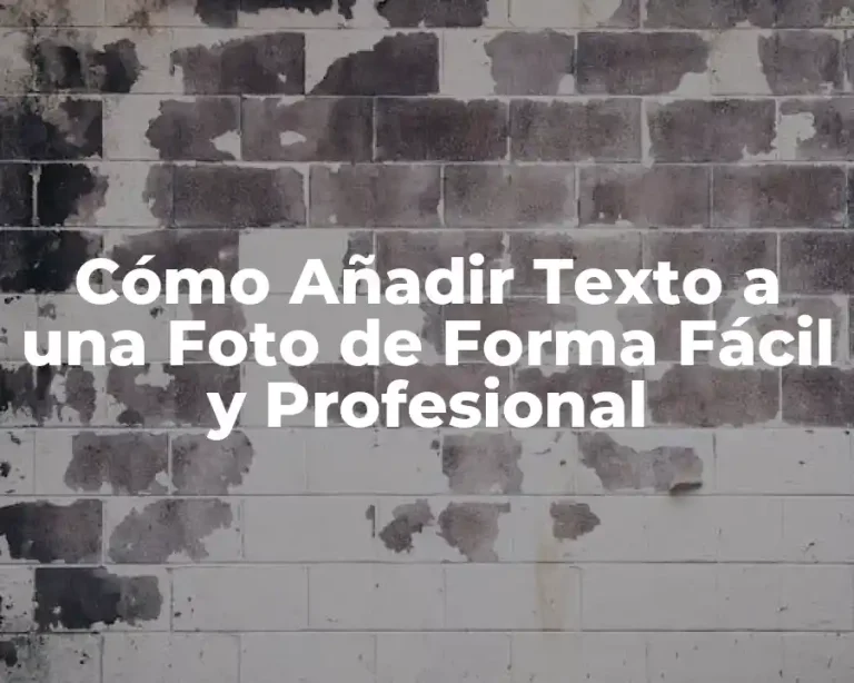 Cómo Añadir Texto a una Foto de Forma Fácil y Profesional