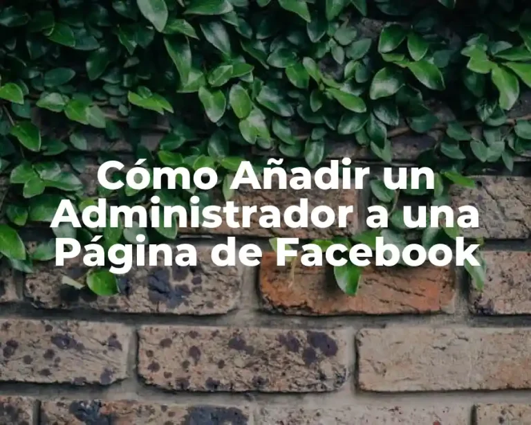 Cómo Añadir un Administrador a una Página de Facebook