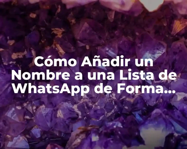 Cómo Añadir un Nombre a una Lista de WhatsApp de Forma Rápida y Sencilla