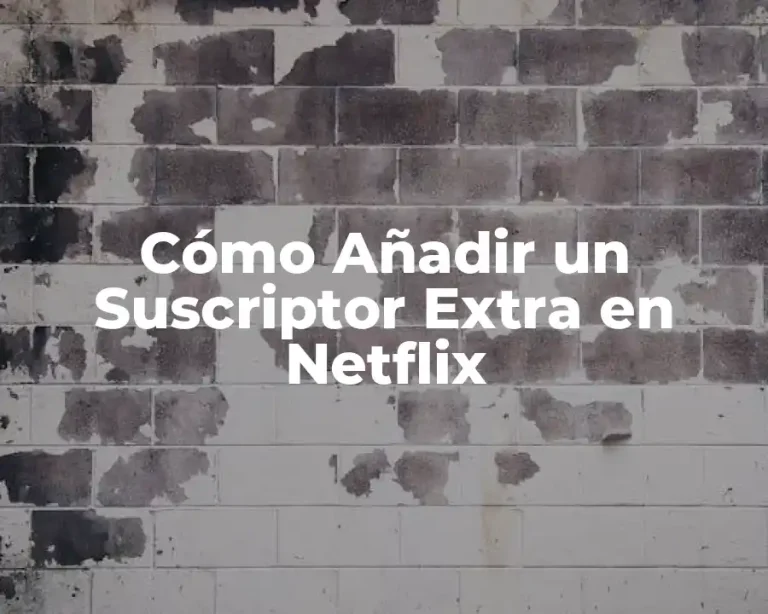 Cómo Añadir un Suscriptor Extra en Netflix