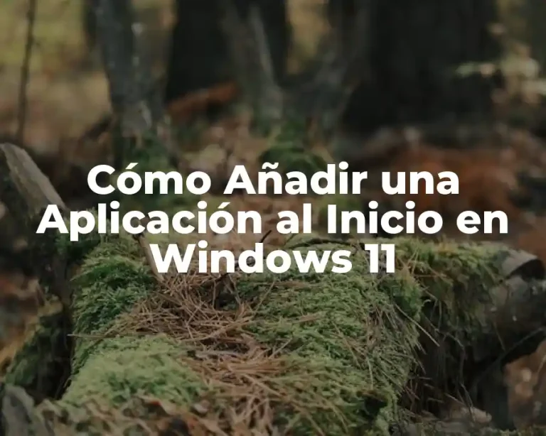 Cómo Añadir una Aplicación al Inicio en Windows 11