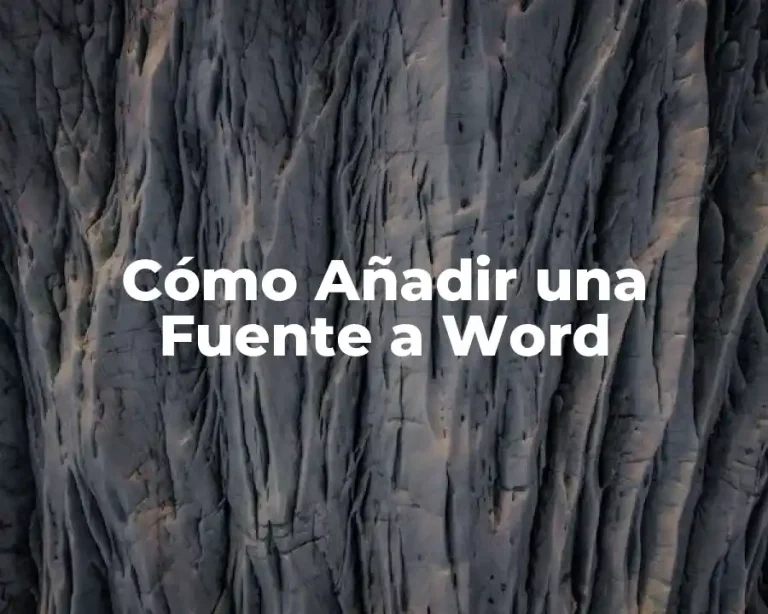 Cómo Añadir una Fuente a Word