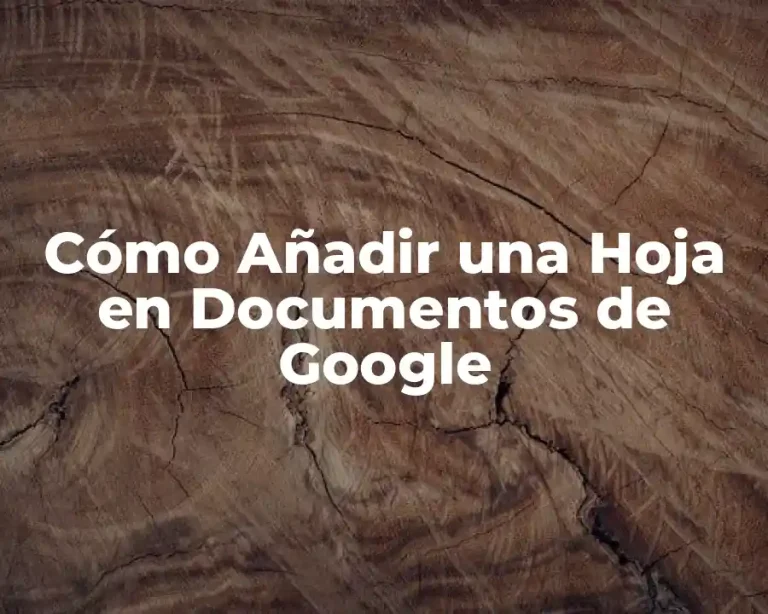 Cómo Añadir una Hoja en Documentos de Google