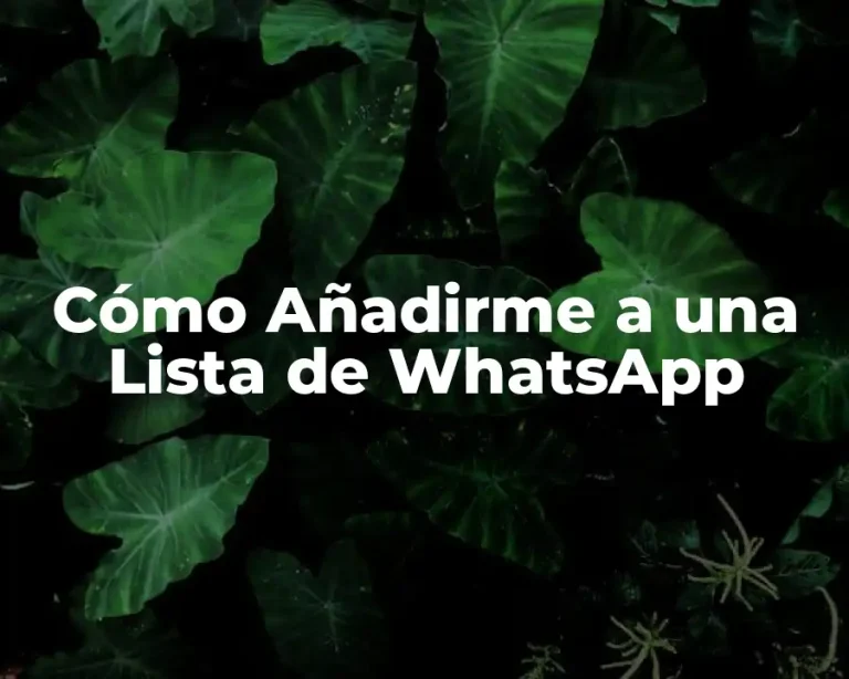 Cómo Añadirme a una Lista de WhatsApp