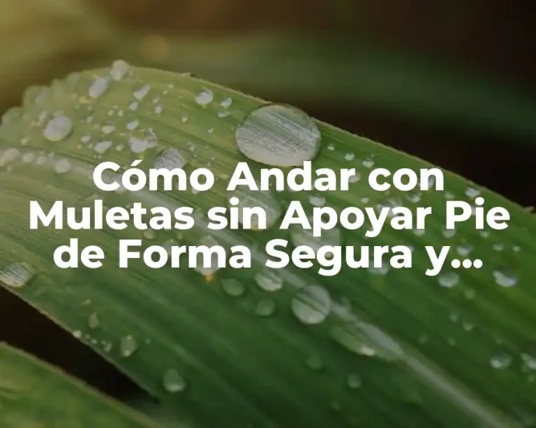 Cómo Andar con Muletas sin Apoyar Pie de Forma Segura y Efectiva