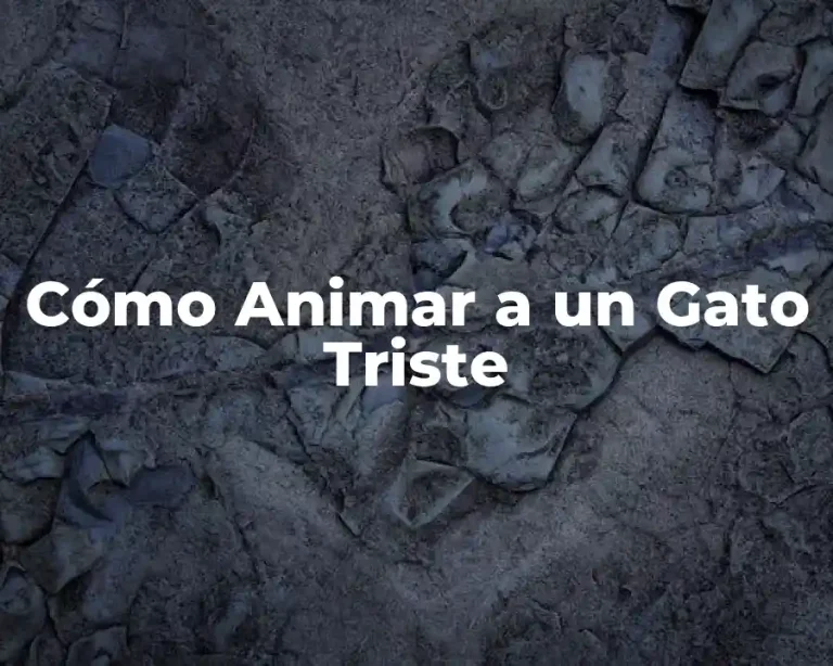Cómo Animar a un Gato Triste