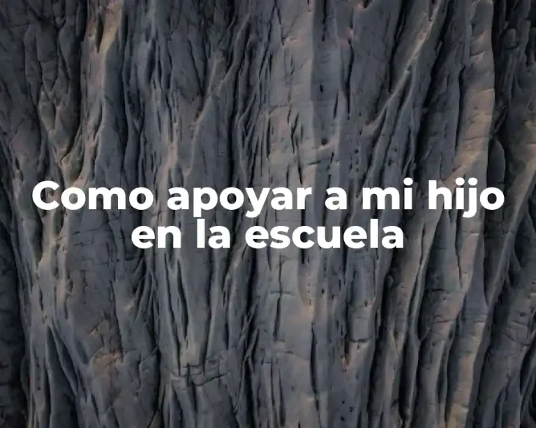 Como apoyar a mi hijo en la escuela