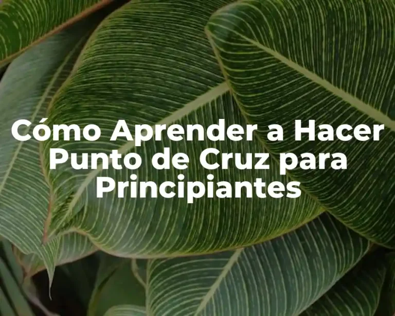 Cómo Aprender a Hacer Punto de Cruz para Principiantes