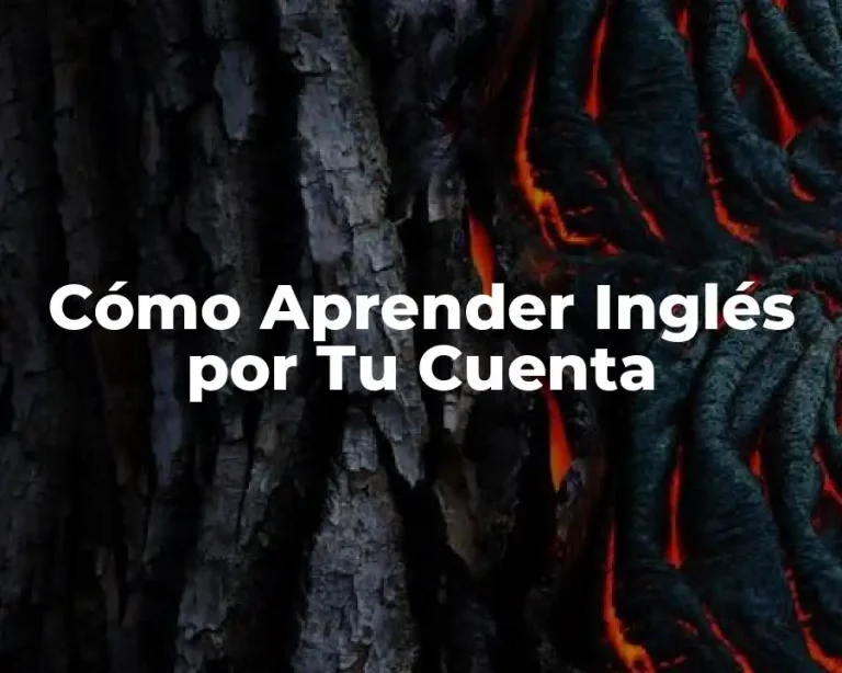 Cómo Aprender Inglés por Tu Cuenta