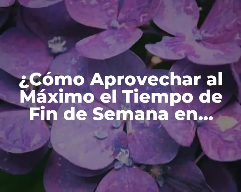 ¿Cómo Aprovechar al Máximo el Tiempo de Fin de Semana en Cataluña?