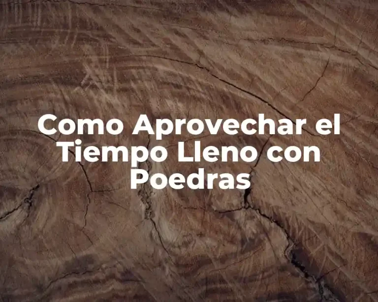 Como Aprovechar el Tiempo Lleno con Poedras