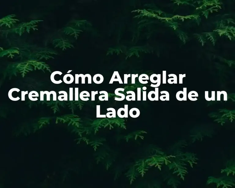 Cómo Arreglar Cremallera Salida de un Lado