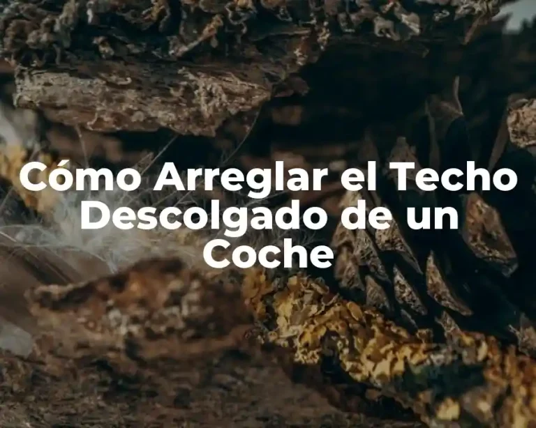 Cómo Arreglar el Techo Descolgado de un Coche