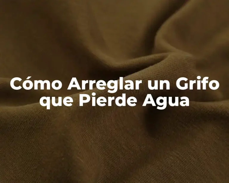 Cómo Arreglar un Grifo que Pierde Agua