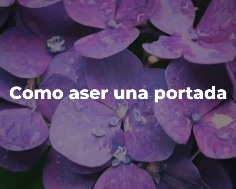 Como aser una portada