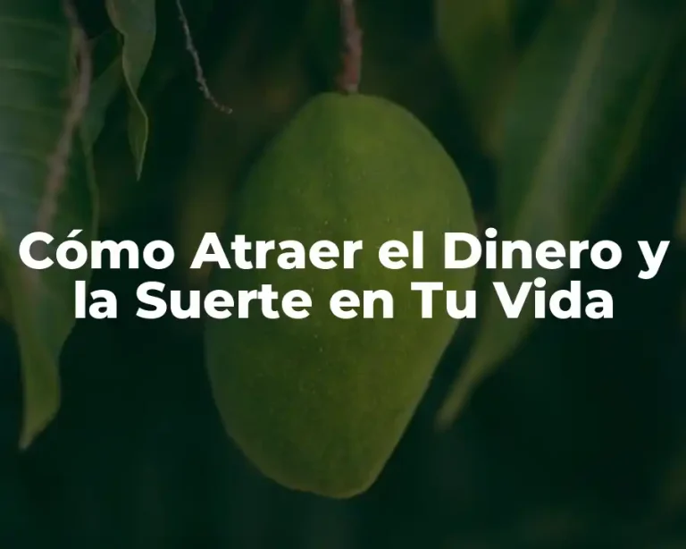 Cómo Atraer el Dinero y la Suerte en Tu Vida