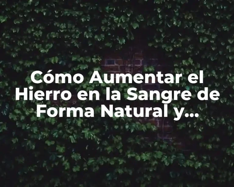 Cómo Aumentar el Hierro en la Sangre de Forma Natural y Eficiente