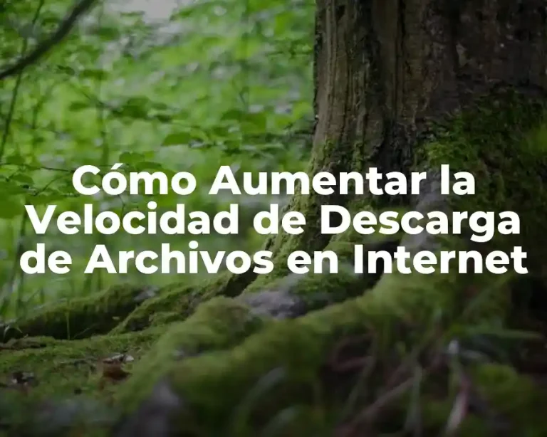 Cómo Aumentar la Velocidad de Descarga de Archivos en Internet