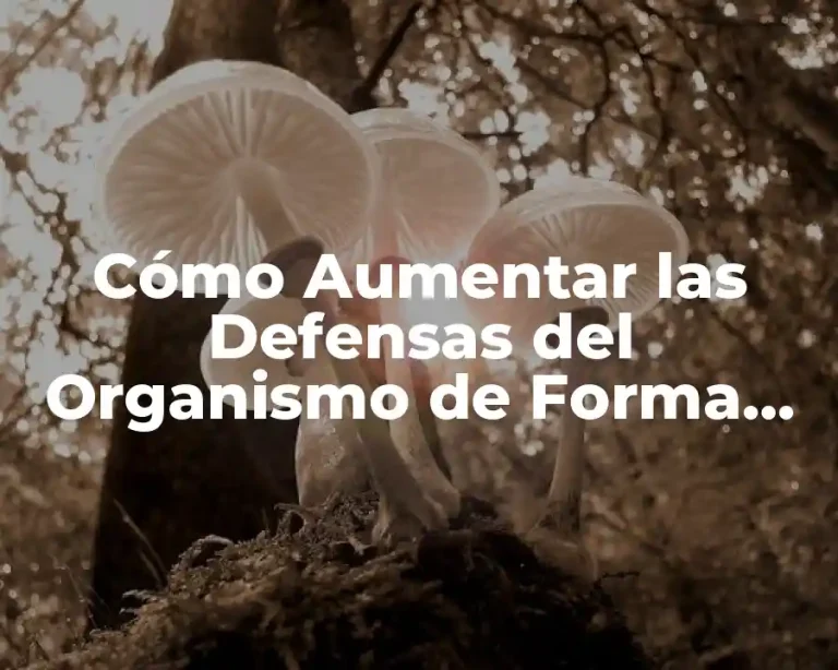 Cómo Aumentar las Defensas del Organismo de Forma Natural y Efectiva