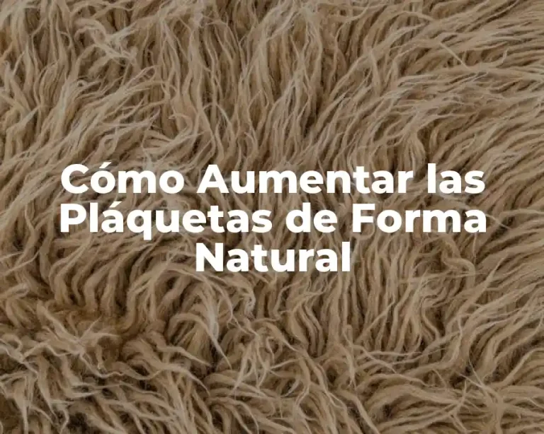 Cómo Aumentar las Pláquetas de Forma Natural