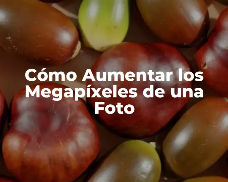 Cómo Aumentar los Megapíxeles de una Foto
