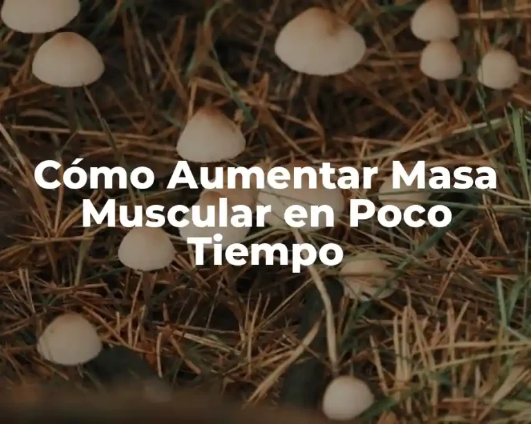 Cómo Aumentar Masa Muscular en Poco Tiempo