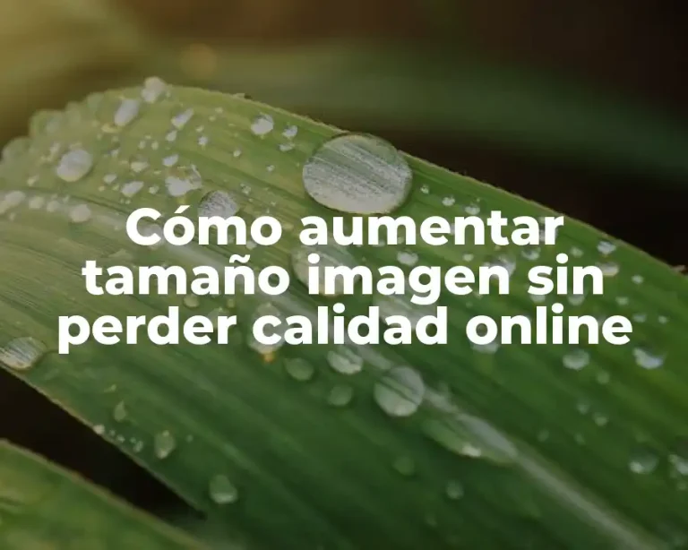 Cómo aumentar tamaño imagen sin perder calidad online