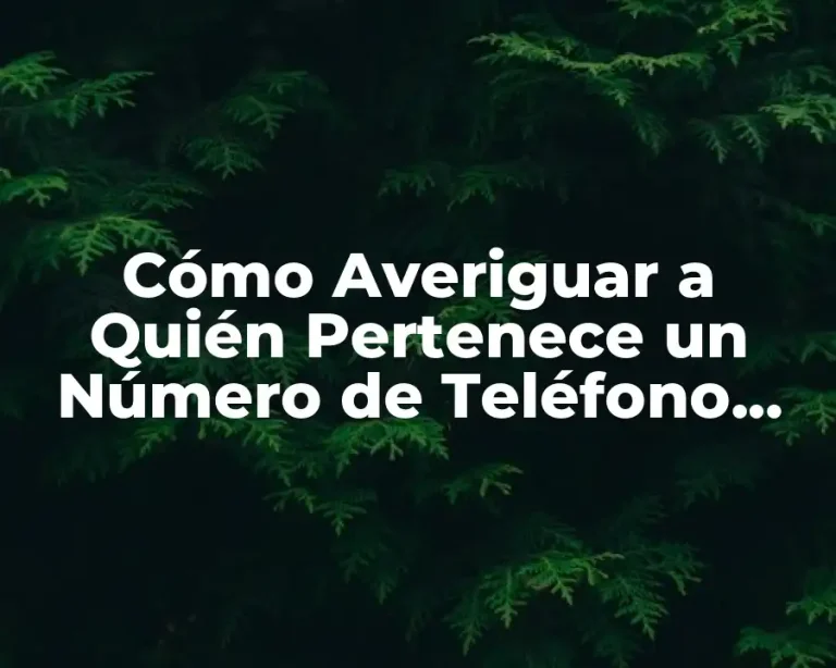 Cómo Averiguar a Quién Pertenece un Número de Teléfono Móvil