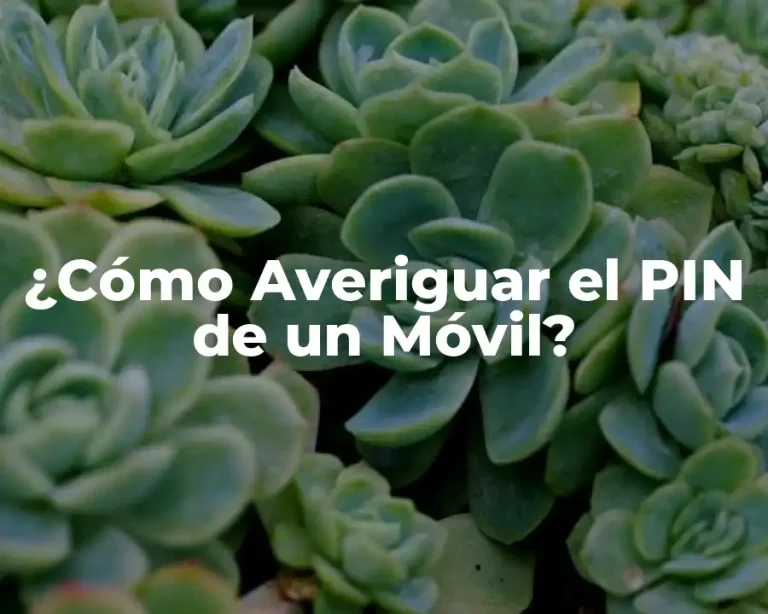 ¿Cómo Averiguar el PIN de un Móvil?