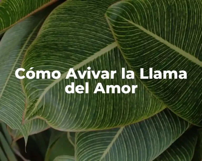 Cómo Avivar la Llama del Amor